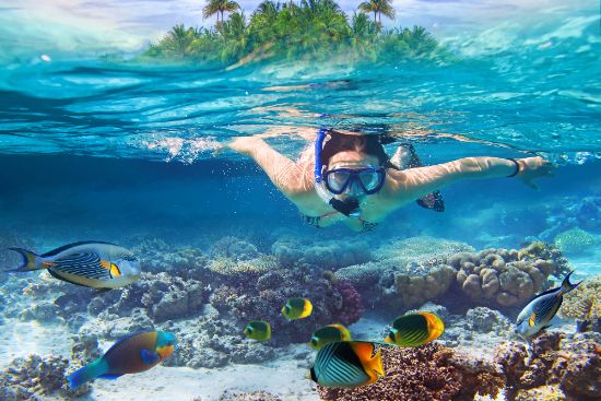 Capodanno sottomarino: acquari, resort e mete per snorkeling