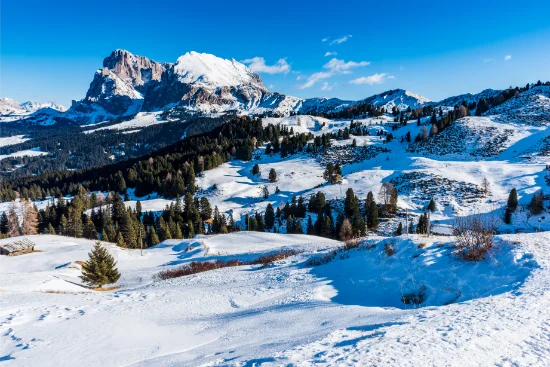Capodanno in baita: dove andare, costi e consigli per la neve